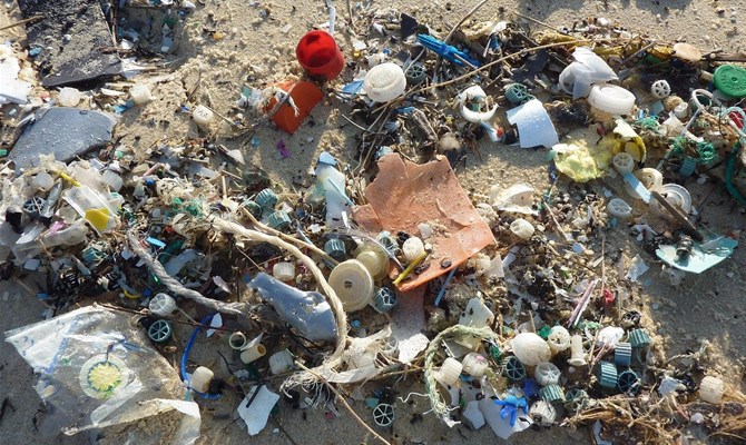 Bando delle stoviglie di plastica monouso: ammesse le compostabili. Ecco quel che è importante sapere