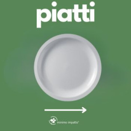 Piatti di plastica rigidi - riutilizzabili