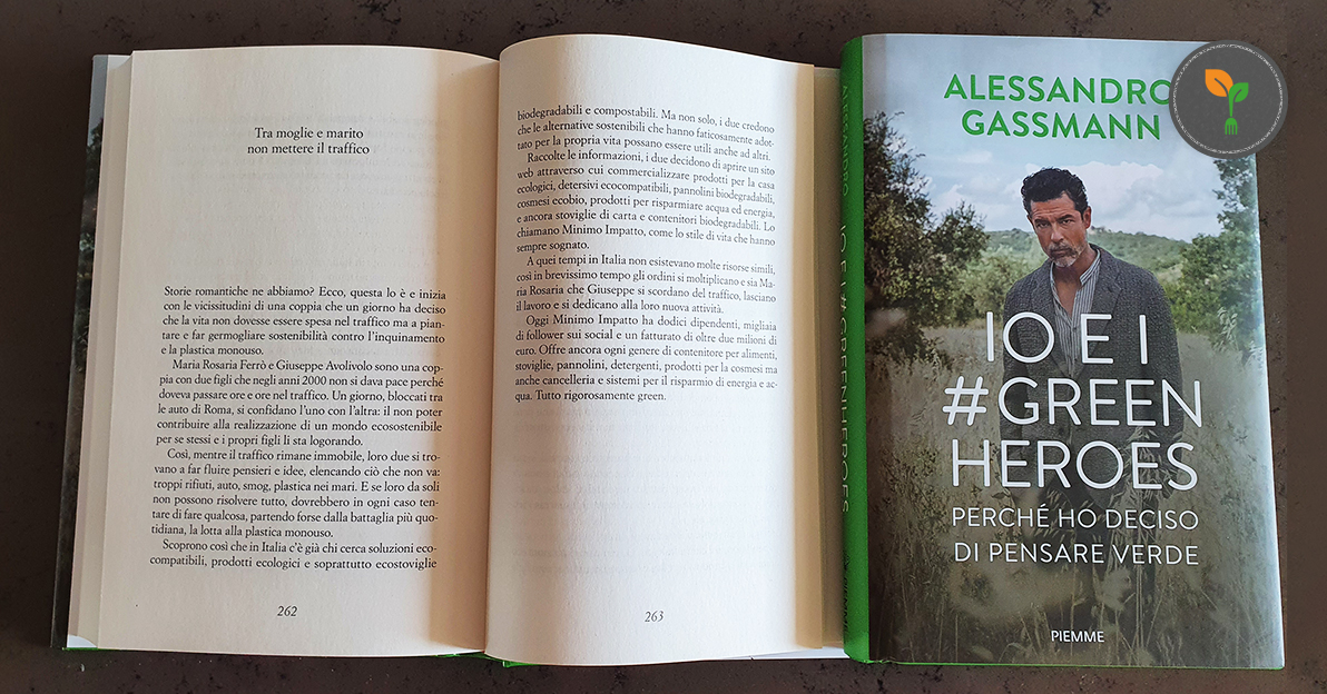 Perché leggere libro Io e i Green Heroes di Gassmann