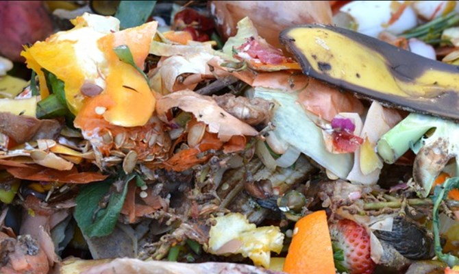 Brevettata compostiera domestica per gestione innovativa dei rifiuti: economia circolare in casa firmata ENEA 