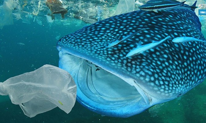 WWF: ecco come salvare il Mediterraneo dalla plastica